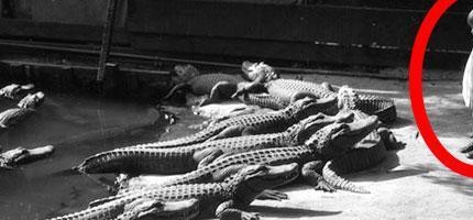 1920年古怪的鱷魚農場
