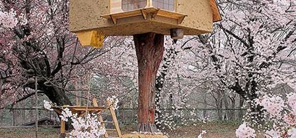 藤森照信在日本山梨縣北杜市的完美樹屋