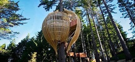 treehouse-point樹屋餐廳