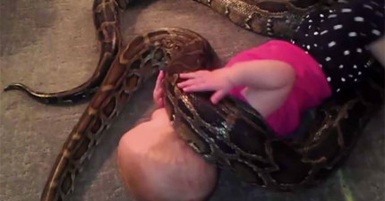 小嬰兒跟蟒蛇玩