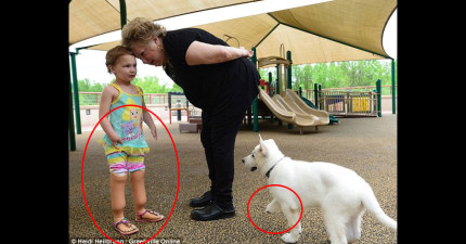 殘障小女生和白狗狗
