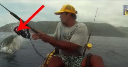 漁夫釣魚地時候鯊魚從水中把他的魚搶走